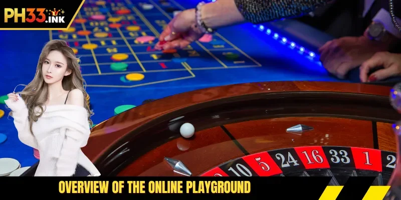 Overview of the online playground